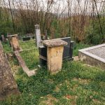 Гробље у Пријановићима (фото Бојан Радојичић)