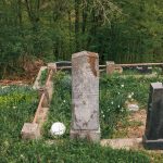 Споменик Владимиру Марковићу на гробљу у Пријановићима (фото Бојан Радојичић)