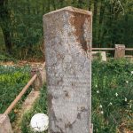 Споменик Владимиру Марковићу на гробљу у Пријановићима (фото Бојан Радојичић)