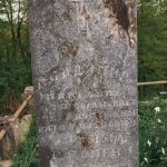 Споменик Владимиру Марковићу на гробљу у Пријановићима (фото Бојан Радојичић)