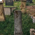 Споменик Владимиру Марковићу на гробљу у Пријановићима (фото Бојан Радојичић)