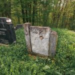 Споменик Николи Милијановићу на гробљу у Пријановићима (фото Бојан Радојичић)
