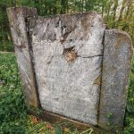 Споменик Николи Милијановићу на гробљу у Пријановићима (фото Бојан Радојичић)