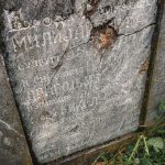 Споменик Николи Милијановићу на гробљу у Пријановићима (фото Бојан Радојичић)