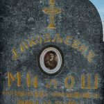 Споменик Милошу Јаковљевићу на гробљу у Прилипцу (фото Бојан Радојичић)
