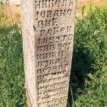 Споменик Николи Јовановићу на гробљу у Прилипцу (фото Бојан Радојичић)