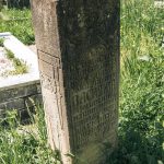 Споменик Светозару и Василију Јовановићима на гробљу у Прилипцу (фото Бојан Радојичић)