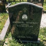 Споменик Неђељку Антовићу на гробљу у Прилипцу (фото Бојан Радојичић)