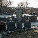 Споменик Божидару Жунићу на Миливојевића гробљу у Радовцима (фото Бојан Радојичић)