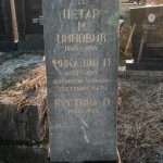 Споменик Петру и Микајлу Џиновићима на гробљу на Миливојевића гробљу у Радовцима (фото Бојан Радојичић)
