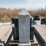 Споменик Обраду Ршумовићу на Коначина гробљу у Расној (фото Бојан Радојичић)