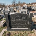 Споменик браћи Зарићима на Коначина гробљу у Расној (фото Бојан Радојичић)