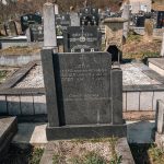 Споменик Крсти Зарићу на Коначина гробљу у Расној (фото Бојан Радојичић)
