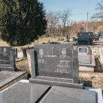 Споменик Милутину Смиљанићу на Коначина гробљу у Расној (фото Бојан Радојичић)
