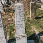 Споменик Радовану Драшкићу на Коначина гробљу у Расној (фото Бојан Радојичић)