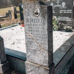 Споменик Александру Диковићу на Коначина гробљу у Расној (фото Бојан Радојичић)