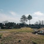 Гробље Милаве у Расној (фото Бојан Радојичић)