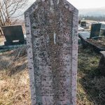 Споменик Сретену Полићу на гробљу Милаве у Расној (фото Бојан Радојичић)