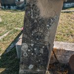 Споменик Стевану Ћирјанићу на гробљу Милаве у Расној (фото Бојан Радојичић)