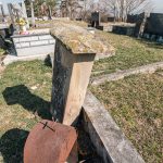 Споменик Стевану Ћирјанићу на гробљу Милаве у Расној (фото Бојан Радојичић)