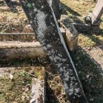 Споменик Милораду Лукићу на гробљу на потесу Шеварице у Расној (фото Бојан Радојичић)