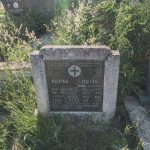Споменик Миливоју Савићу на гробљу у Речицама (фото Бојан Радојичић)