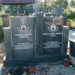 Споменик Светозару Петровићу на гробљу у Речицама (фото Бојан Радојичић)