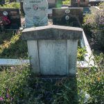 Споменик Момиру и Радомиру Богићевићима на гробљу у Речицама (фото Бојан Радојичић)