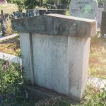 Споменик Момиру и Радомиру Богићевићима на гробљу у Речицама (фото Бојан Радојичић)