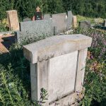 Споменик Момиру и Радомиру Богићевићима на гробљу у Речицама (фото Бојан Радојичић)