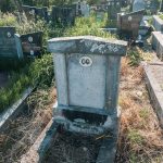 Споменик Млађену Ранковићу на гробљу у Речицама (фото Бојан Радојичић)