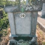 Споменик Млађену Ранковићу на гробљу у Речицама (фото Бојан Радојичић)