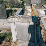 Споменик Млађену Ранковићу на гробљу у Речицама (фото Бојан Радојичић)