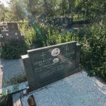 Споменик Петру Ђокићу на гробљу у Речицама (фото Бојан Радојичић)