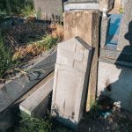 Споменик Николи Трифуновићу на гробљу у Речицама (фото Бојан Радојичић)