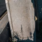 Споменик Николи Трифуновићу на гробљу у Речицама (фото Бојан Радојичић)