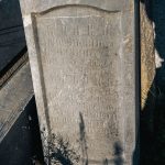 Споменик Николи Трифуновићу на гробљу у Речицама (фото Бојан Радојичић)
