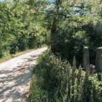 Крајпуташи Кабаницама у Рогама (фото Бојан Радојичић)