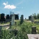 Гробље Липа у Рогама (фото Бојан Радојичић)