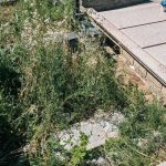Споменик Велимиру Кабаници на гробљу Липа у Рогама (фото Бојан Радојичић)