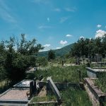 Велико гробље у Рогама (фото Бојан Радојичић)