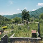 Велико гробље у Рогама (фото Бојан Радојичић)