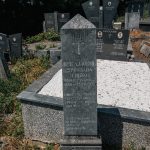 Споменик Живку Вукајловићу на Великом гробљу у Рогама (фото Бојан Радојичић)