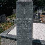 Споменик Живку Вукајловићу на Великом гробљу у Рогама (фото Бојан Радојичић)
