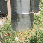 Споменик Чедомиру Јоковићу на Великом гробљу у Рогама (фото Бојан Радојичић)