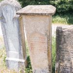 Споменик Обраду Сарвану на Великом гробљу у Рогама (фото Бојан Радојичић)