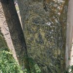 Споменик Обраду Сарвану на Великом гробљу у Рогама (фото Бојан Радојичић)