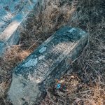 Младеновића гробље у Рупељеву (фото Бојан Радојичић)
