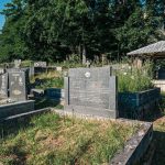 Споменик Милојку Илићу на Младеновића гробљу у Рупељеву (фото Бојан Радојичић)