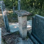 Споменик Стеву Младеновићу на Младеновића гробљу у Рупељеву (фото Бојан Радојичић)
